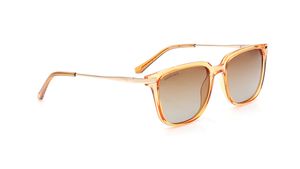 Image 2 of Brown Square Polarized Sunglasses for Men from Fastrack Available at Titan Eye+