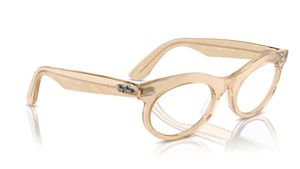 Image 2 of Brown Oval Rimmed Eyeglasses for Men and Women from Rayban Available at Titan Eye+