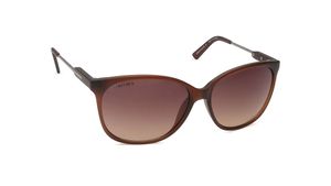 Image 2 of Brown Trendy Sunglasses for Men from Fastrack Available at Titan Eye+