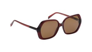 Image 2 of Brown Bugeye Polarized Sunglasses for Women from Fastrack Available at Titan Eye+