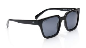 Image 2 of Grey Wayfarer Polarized Sunglasses for Men and Women from Fastrack Available at Titan Eye+