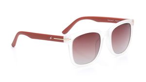 Image 2 of Brown Wayfarer Sunglasses for Men and Women from Fastrack Available at Titan Eye+