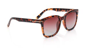 Image 2 of Brown Wayfarer Sunglasses for Men and Women from Fastrack Available at Titan Eye+