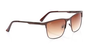 Image 2 of Brown Wayfarer Sunglasses for Men and Women from Tees By Fastrack Available at Titan Eye+