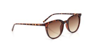 Image 2 of Brown Wayfarer Sunglasses for Men and Women from Fastrack Available at Titan Eye+