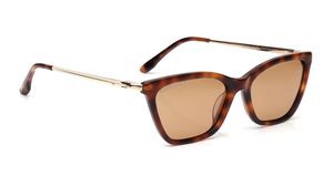 Image 2 of Brown CatEye Sunglasses for Women from Fastrack Available at Titan Eye+