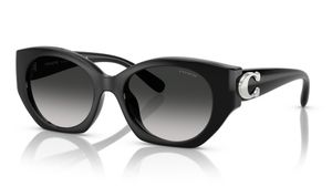 Image 2 of Grey Oval Sunglasses for Women from Coach Available at Titan Eye+