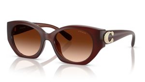 Image 2 of Brown Oval Sunglasses for Women from Coach Available at Titan Eye+