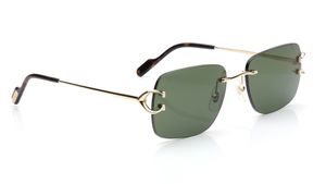 Image 2 of Green Rectangle Sunglasses for Men from Cartier Available at Titan Eye+