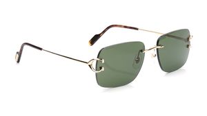 Image 2 of Green Rectangle Sunglasses for Men from Cartier Available at Titan Eye+
