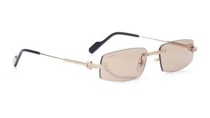 Image 2 of Brown Rectangle Sunglasses for Men from Cartier Available at Titan Eye+