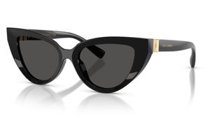 Image 1 of Grey CatEye Sunglasses for Women from Dolce And Gabbana Available at Titan Eye+