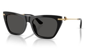 Image 2 of Grey Square Sunglasses for Women from Dolce And Gabbana Available at Titan Eye+