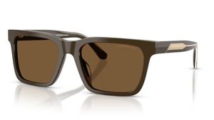 Image 2 of Brown Square Sunglasses for Men from Emporio Armani Available at Titan Eye+