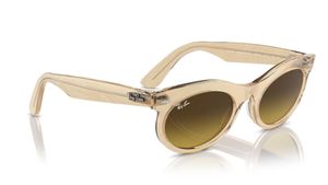 Image 2 of Brown Oval Sunglasses for Men and Women from Rayban Available at Titan Eye+