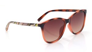 Image 2 of Brown Wayfarer Sunglasses for Women from Ted Baker Available at Titan Eye+