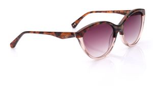 Image 2 of Brown CatEye Sunglasses for Women from Ted Baker Available at Titan Eye+