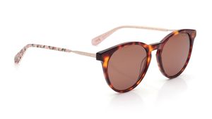 Image 2 of Brown Phantos Sunglasses for Women from Ted Baker Available at Titan Eye+