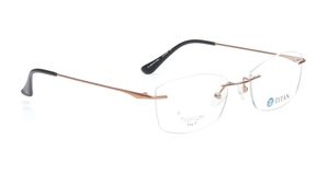 Image 2 of Bronze Rectangle Eyeglasses for Men from Titan Available at Titan Eye+