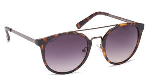 Image 2 of Brown Oval Men Sunglasses (C090BK3|52) from Fastrack Available at Titan Eye+