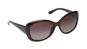 Image 2 of Brown Bugeye Polarized Sunglasses for Women from Polaroid Available at Titan Eye+