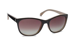 Image 2 of Brown Wayfarer Polarized Sunglasses for Women from Polaroid Available at Titan Eye+