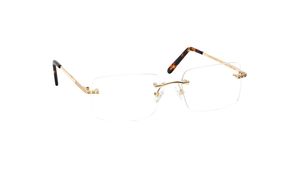 Image 2 of Gold Square Eyeglasses for Men and Women from Aristo Available at Titan Eye+
