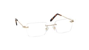 Image 2 of Gold Square Eyeglasses for Men and Women from Aristo Available at Titan Eye+