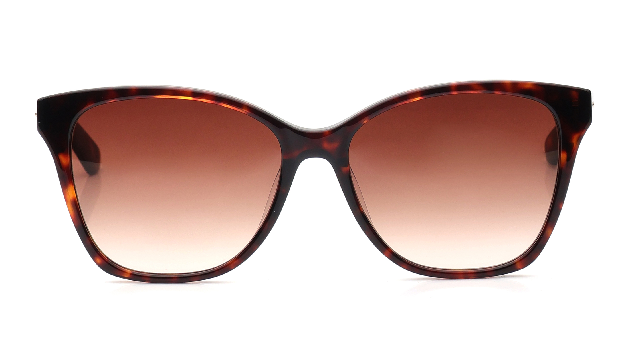 Image 1 of Brown CatEye Sunglasses for Women from Calvin Klein Available at Titan Eye+