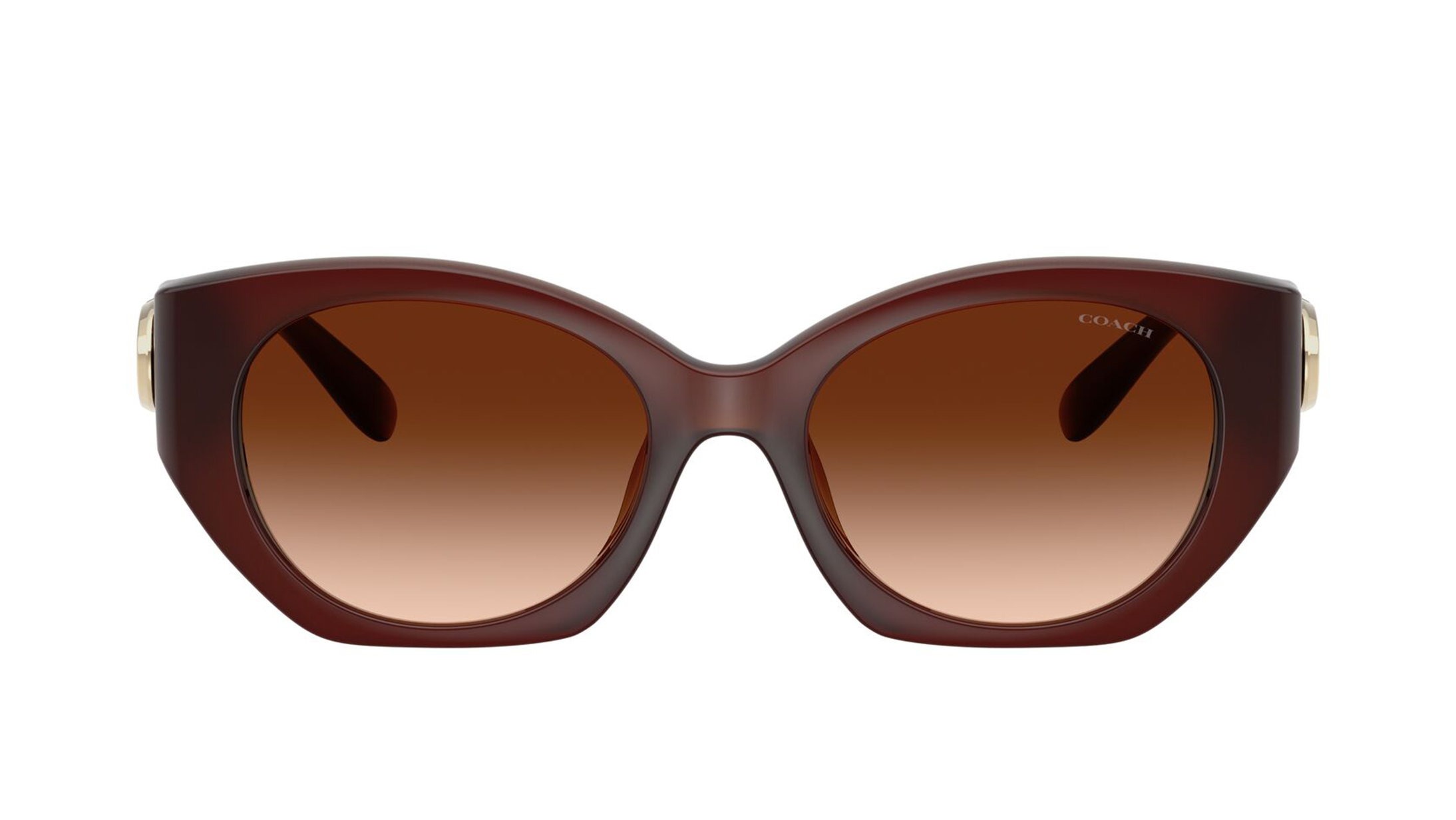 Image 1 of Brown Oval Sunglasses for Women from Coach Available at Titan Eye+
