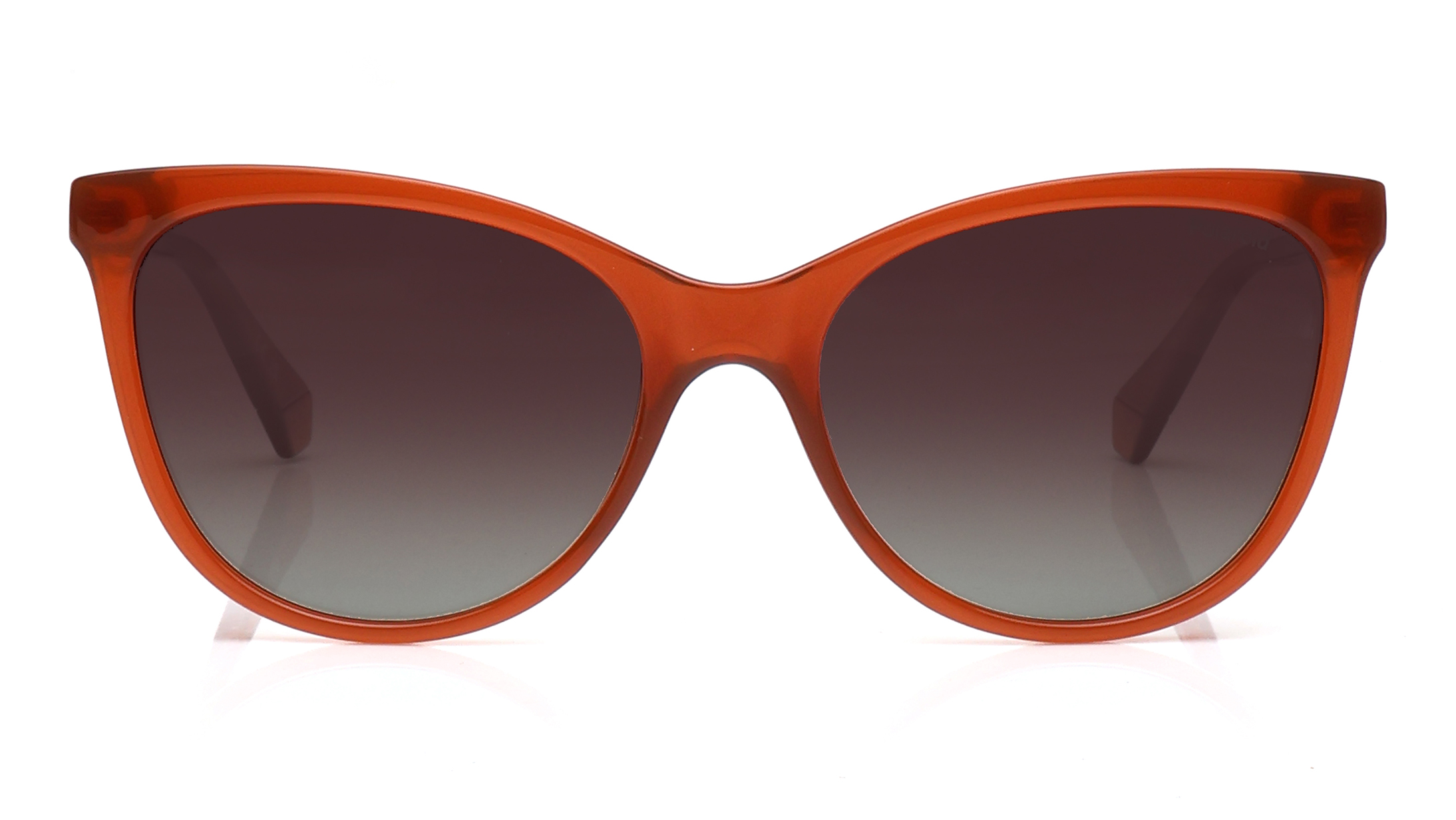 Image 1 of Brown Cateye Polarized Sunglasses for Women from Polaroid Available at Titan Eye+