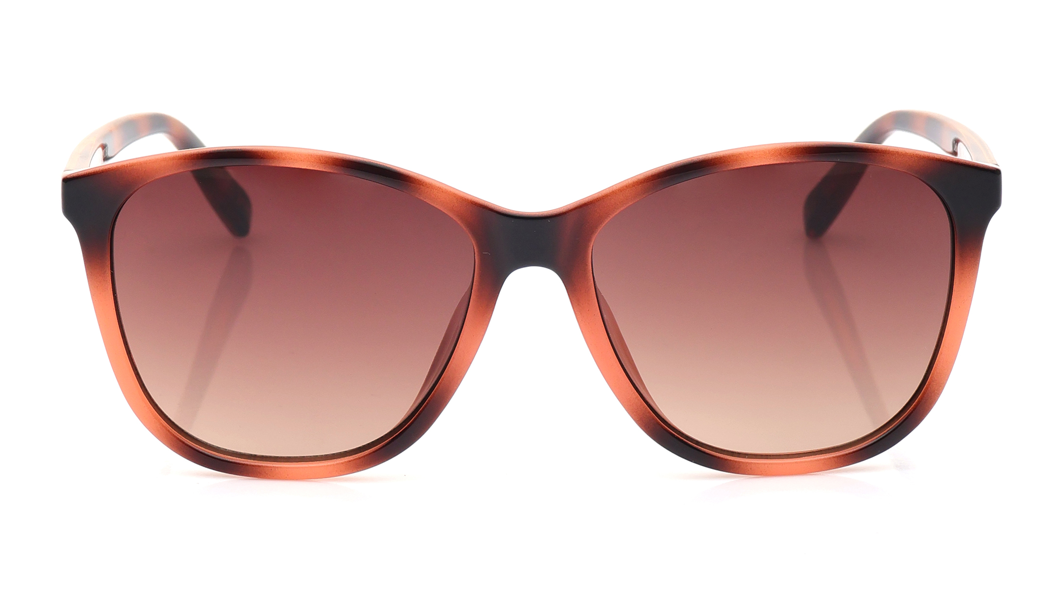 Image 1 of Brown Wayfarer Sunglasses for Women from Ted Baker Available at Titan Eye+