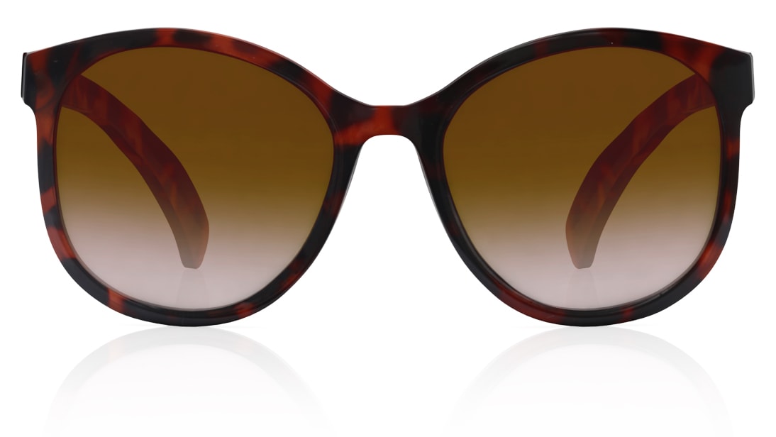 Image 1 of Brown Oval Women Sunglasses  from Fastrack Available at Titan Eye+