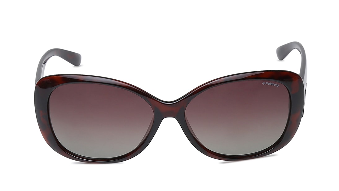 Image 1 of Brown Bugeye Polarized Sunglasses for Women from Polaroid Available at Titan Eye+