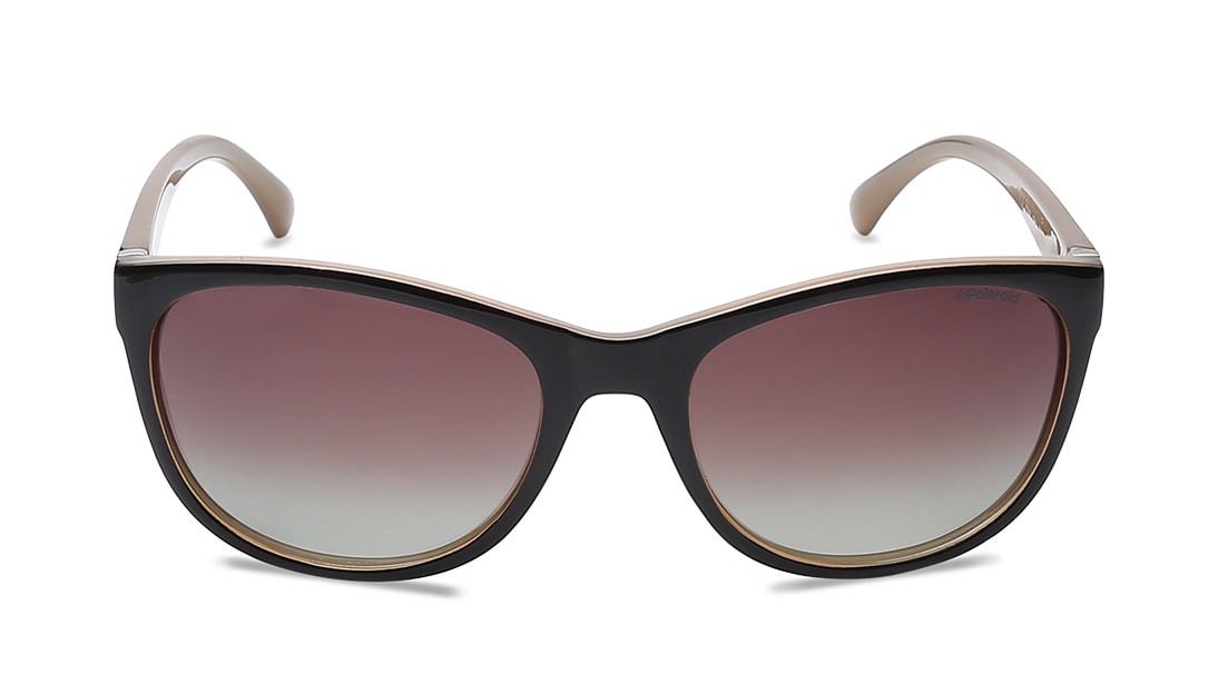 Image 1 of Brown Wayfarer Polarized Sunglasses for Women from Polaroid Available at Titan Eye+
