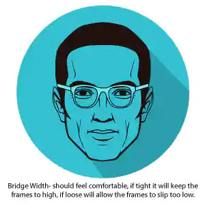 Eyewear Bridge width feels comfortable Guide at Titan Eye+
